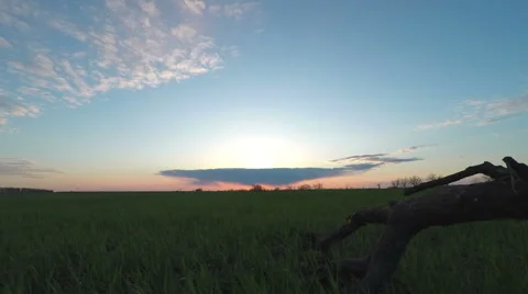 Sunset in the Green Field Stock Footage 49744611
