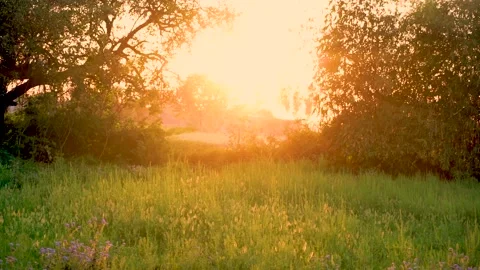 Sunset with green fields Stock Footage 284446086