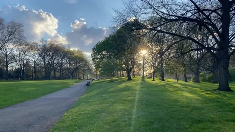Sunset in a green park London Stock Footage 178975748