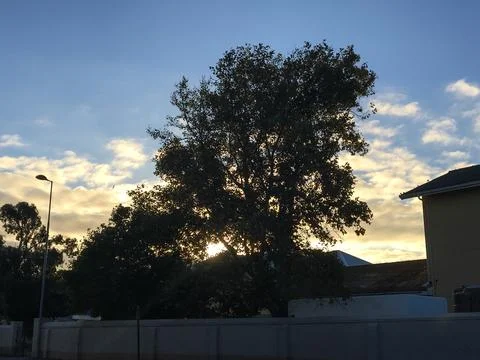 Sunset At Green Point Stock Photos