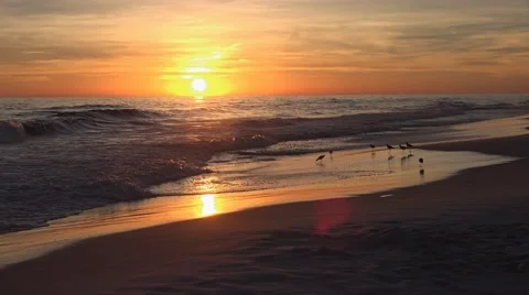 Sunset:  Gulf of Mexico, Florida Panhandle Vidéo 64804536