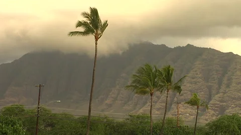 Sunset in Hawaii Stock Footage 41380754