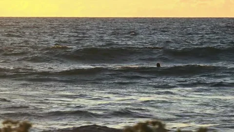 Sunset Hawaiian Surfer Stock Footage 138177201