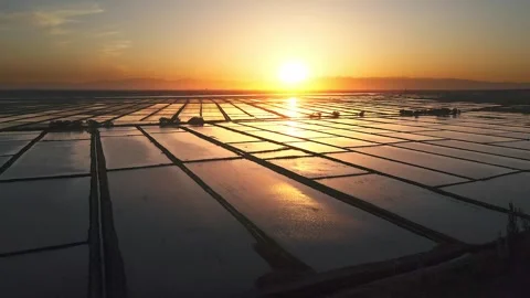 Sunset on the Hetao Plain - 10,000 acres of rice fields 動画素材 257297326