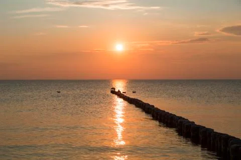Sunset at Hiddensee with some seagulls Stock Photos