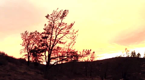 Sunset in the High Desert Stockbeeldmateriaal 43965780