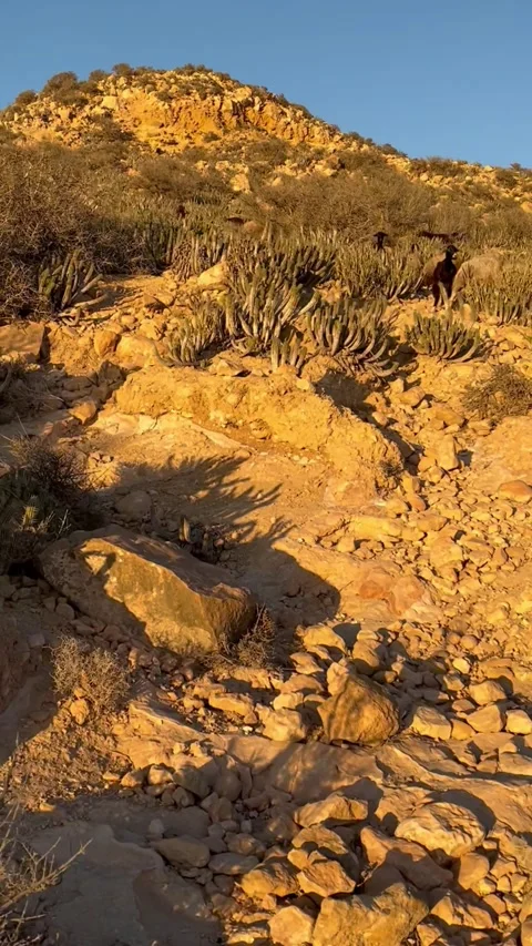 Sunset Hiking in Agadir, Morocco  스톡 동영상 248666332
