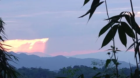 Sunset in the hill with bamboo leaf in foreground time lapse shot Stock Footage 82591240