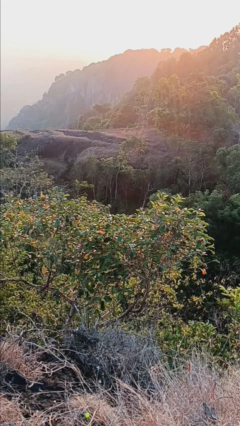 Sunset on the hill Stock Footage 284501104