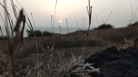 Sunset on Hill with ocean Video stock 151726051