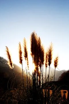 Sunset &amp; Hill 스톡 사진