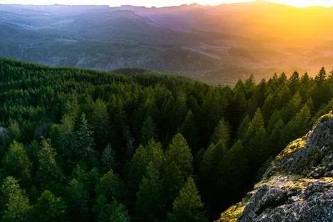 Sunset on Hill Trees Stock Photos