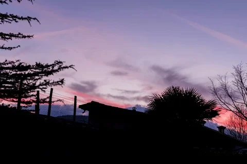Sunset in the hills with silhouette trees 動画素材 91612048
