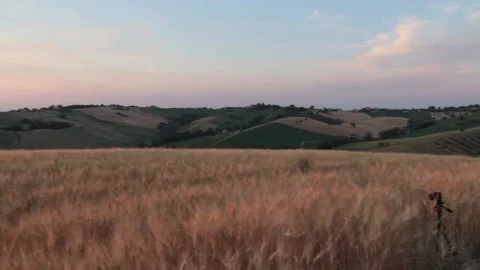 Sunset hilly Stock Footage 156444169