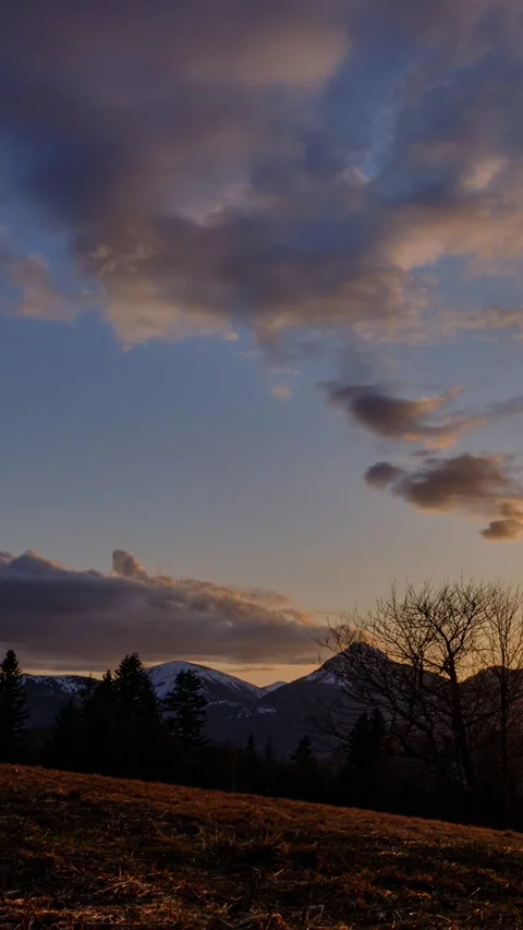 Sunset in a hilly rural landscape on the edge of a forest, Timelapse, vertical 動画素材 271629005