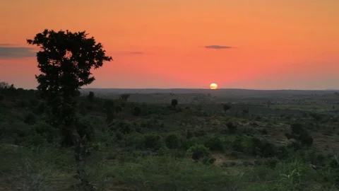 Sunset on the horizon in kenya Stock Footage 74096604