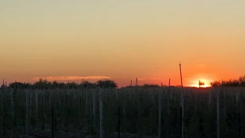 Sunset on the horizon by the road. Bright sun sets behind the horizon, view.. Stock Footage 282957961