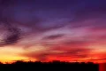 Sunset Horizon SD 01 Loop Footage