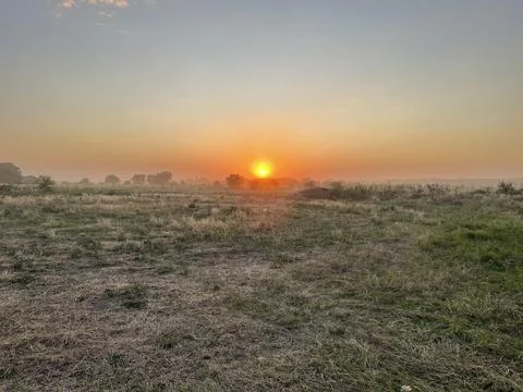 Sunset in the hot steppe 库存照片