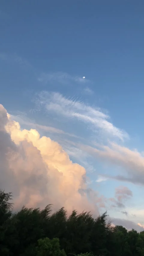 Sunset hour with moon clouds and trees while closing up the moon Stock Footage 201800524