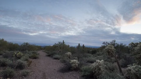 Sunset hyperlapse on Arizona desert trail.  A panoramic time-lapse Stock Footage 102384436