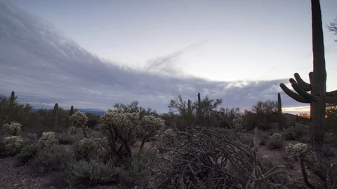 Sunset hyperlapse in desert with tall Saguaro cactus and bright sunset Stock Footage 102387299