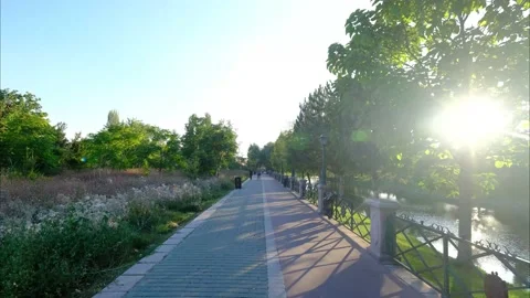 Sunset hyperlapse in the park Stock Footage 137820903