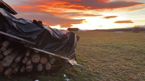 Sunset illuminates collected round wooden logs Stock Footage 232768049
