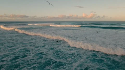 Sunset Illuminates Energetic Ocean Swells Along Hawaiian Coast Stock Footage 323562650