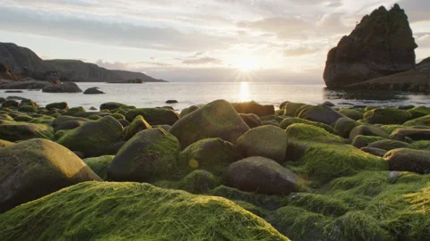 Sunset Illuminates Mossy Rocks in Low Tracking Shot Video stock 200913827