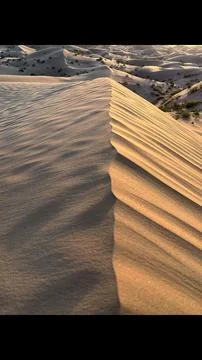 Sunset illuminates rolling desert dunes, creating warm glow over rippling sand Stock Photos