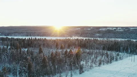 Sunset illuminates a snow-covered forest Stock Footage 188304098