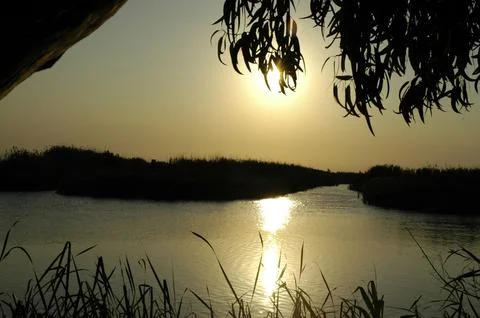 Sunset illuminations in the wetlands Stock Photos