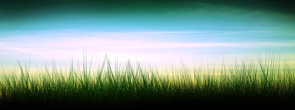 Sunset Stock Illustration