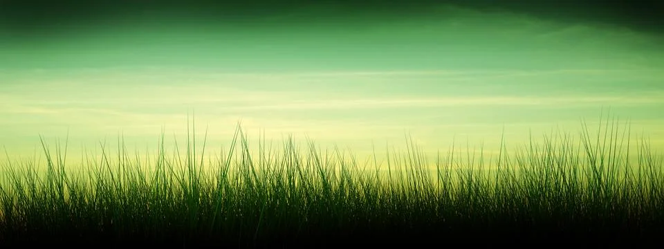 Sunset Stock Illustration