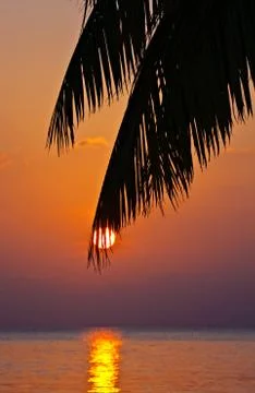 Sunset in The Indian Ocean 스톡 사진
