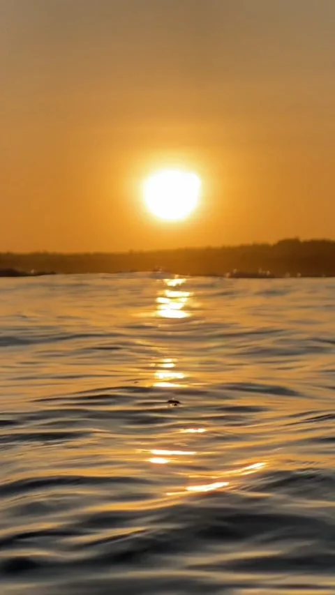 Sunset in the Indian ocean.Vertical video Stock Footage 296166098