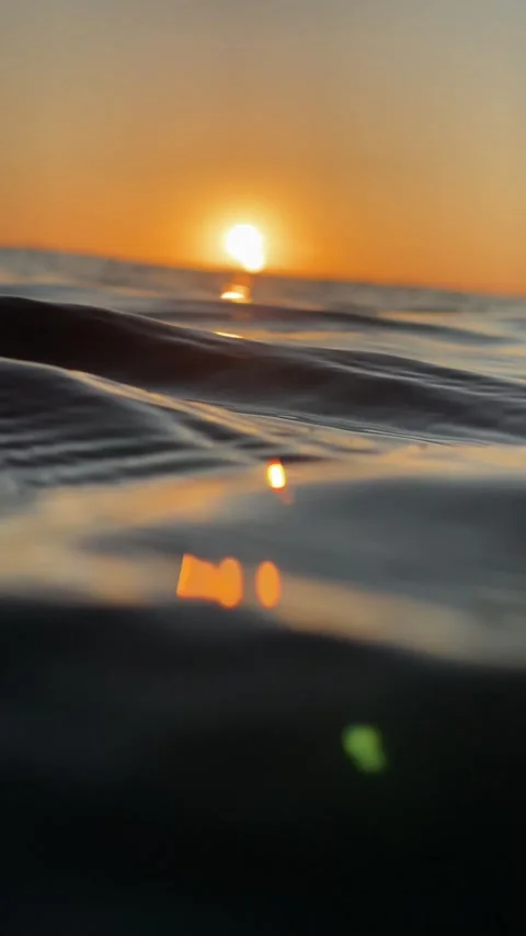 Sunset in the Indian ocean.Vertical video Stock Footage 296169521