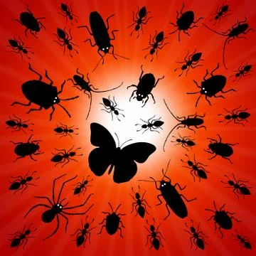 Sunset insects Stock Illustration