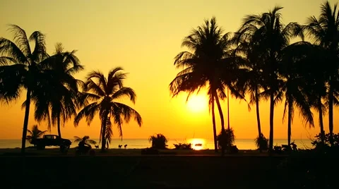 Sunset on the island paradise Stock Footage 45595739