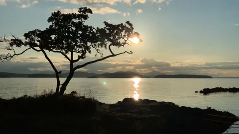 Sunset island view Stock Footage 146994015