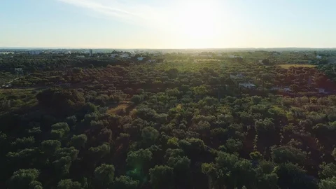 Sunset in Italy Drone flight 4k near Apulia Stock-Footage 90750092