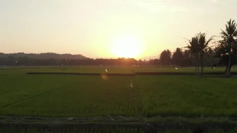 Sunset in Jogjakarta 2 Stock Footage 147851740