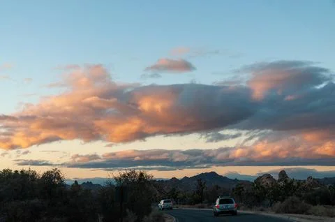 Sunset In Joshua Tree Stock Photos