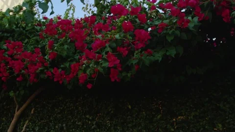 Sunset Junction Sign Silver Lake Los Angeles California 4K Stock Video Footage Video stock 70475491