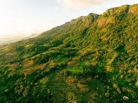 Sunset Jungle Mountains Stock Photos