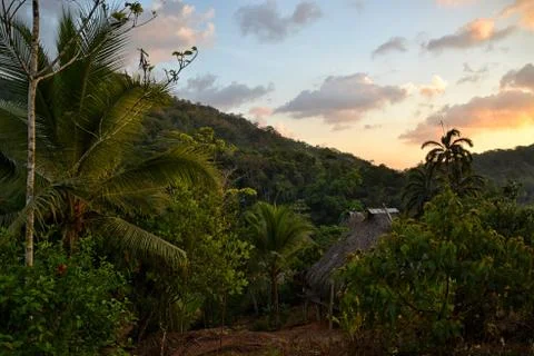 Sunset in the jungle Stockfoto's