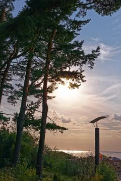 Sunset in Jurmala Stock Photos