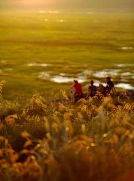 Sunset in Kakadu Stock Photos