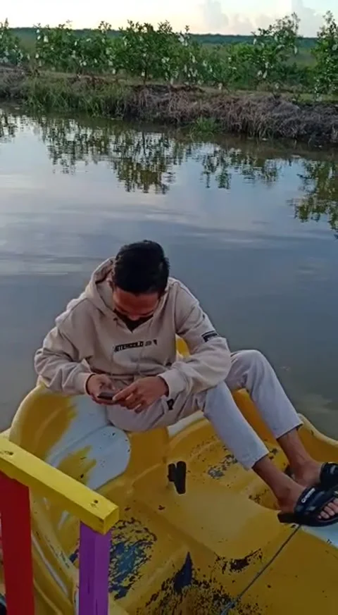 Sunset kebun buah Stock Footage 242598609